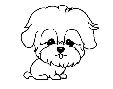 Dibujos De Animales Kawaii Para Colorear - SEONegativo.com