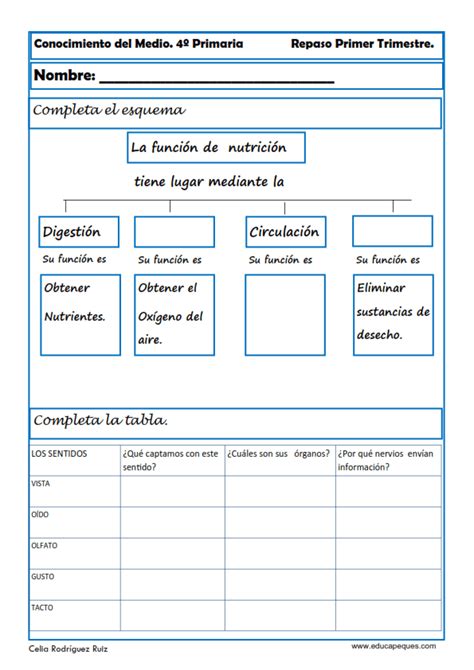 Las Plantas Cuarto De Primaria - SEONegativo.com Las Plantas Cuarto De Primaria - SEONegativo.com